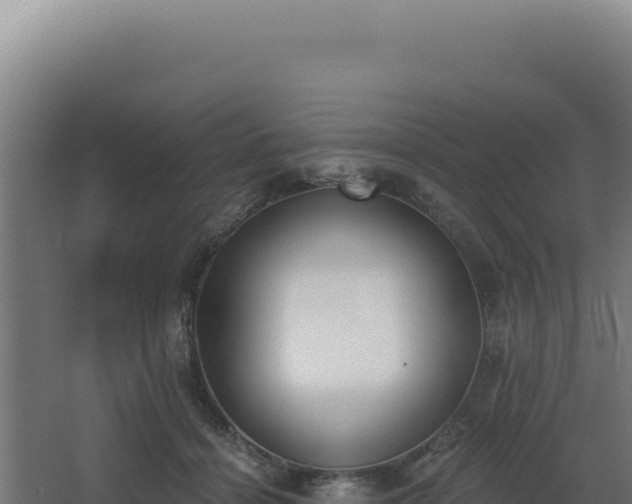 X0000068300460200604281714