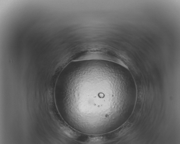 X0000068300461200604281714