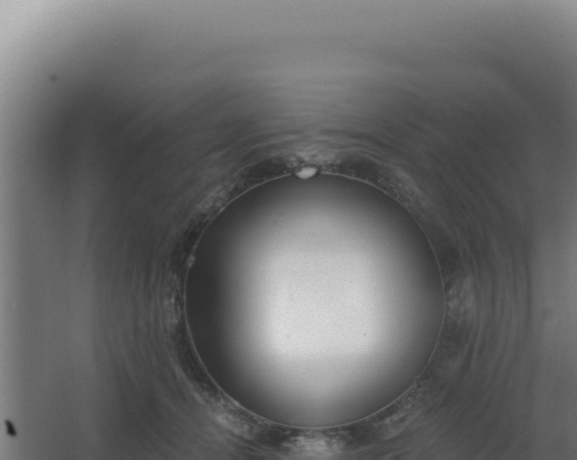 X0000068300464200604281714