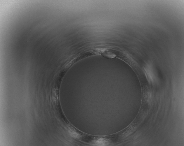 X0000068300467200604281714