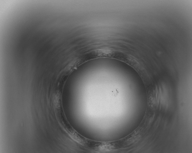 X0000068300468200604281714