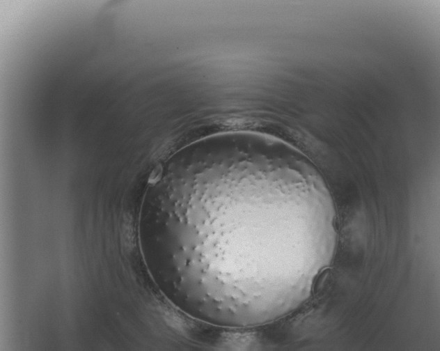 X0000068300469200604281714