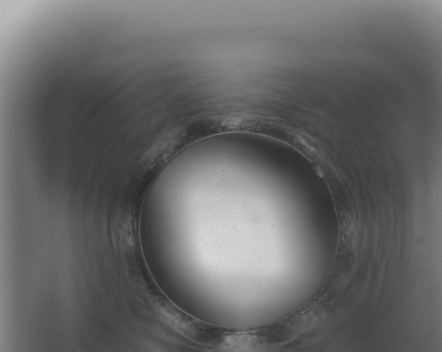 X0000068300470200604281714