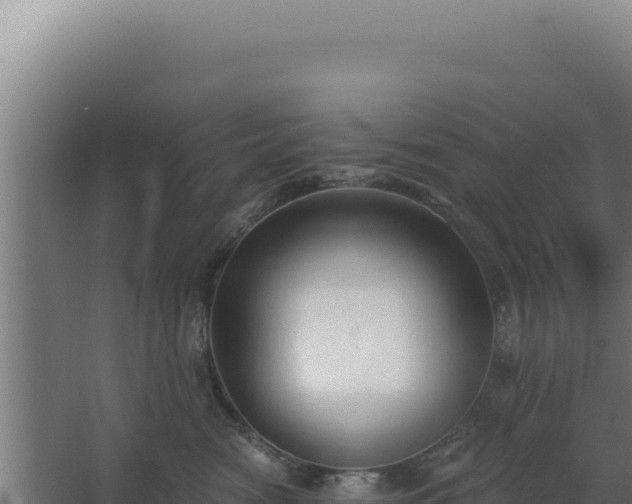 X0000068300474200604281714