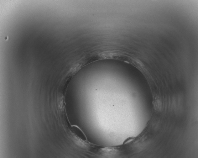 X0000068300477200604281714