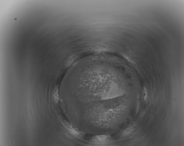 X0000068300479200604281714