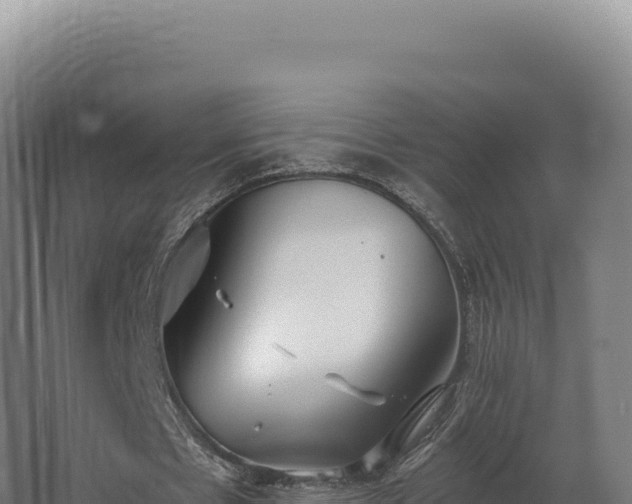 X0000068300481200604281713