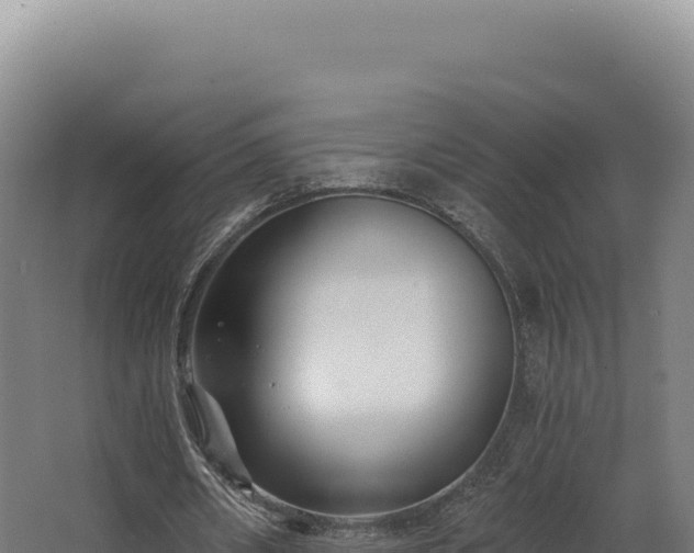 X0000068300482200604281713