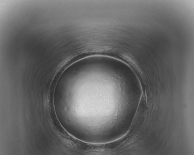 X0000068300483200604281713