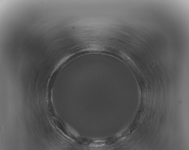 X0000068300484200604281713