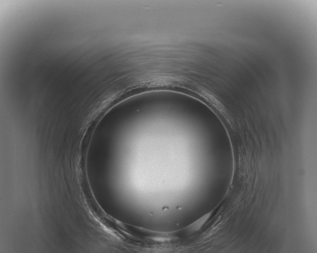 X0000068300485200604281713