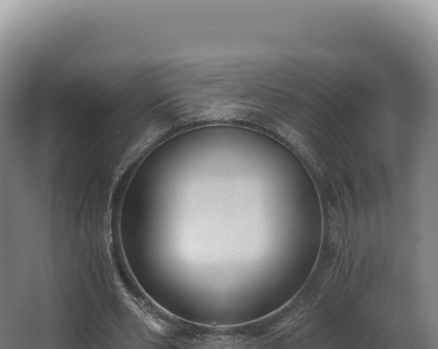 X0000068300486200604281713