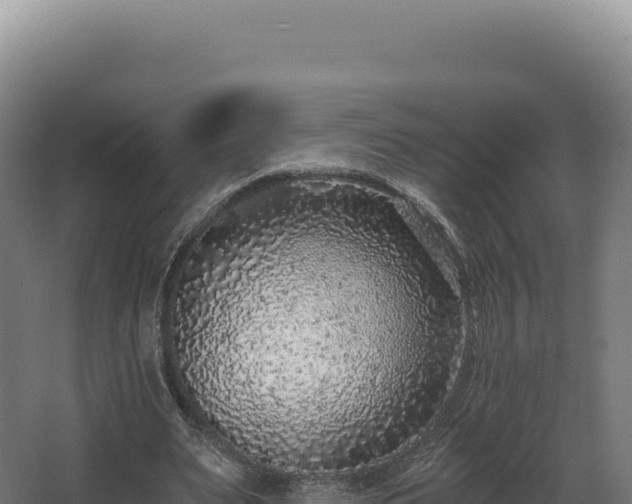 X0000068300487200604281713