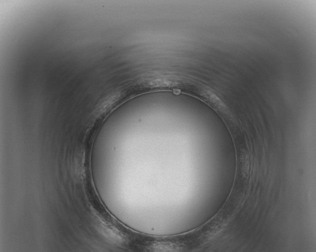 X0000068300490200604281713