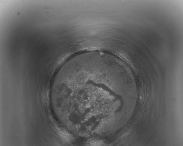 X0000068300491200604281713