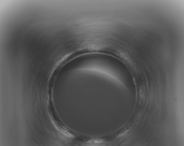 X0000068300492200604281713