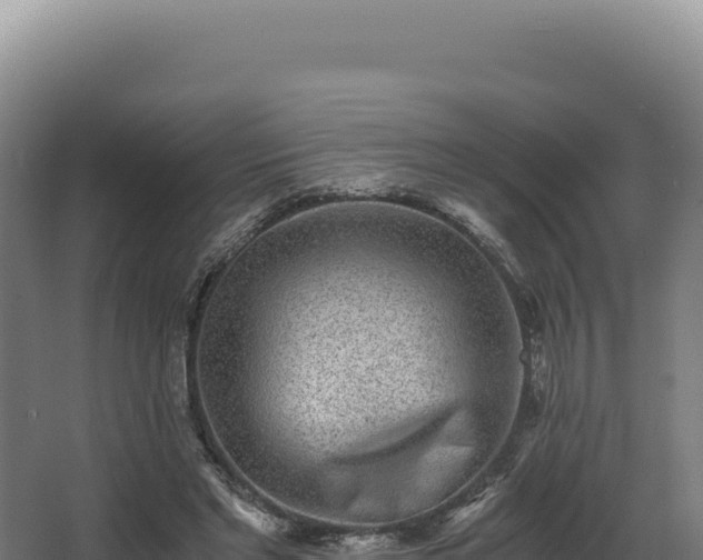 X0000068300493200604281713