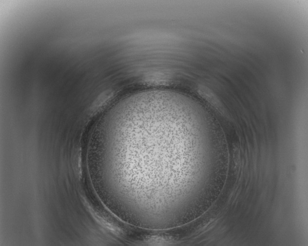 X0000068300494200604281713