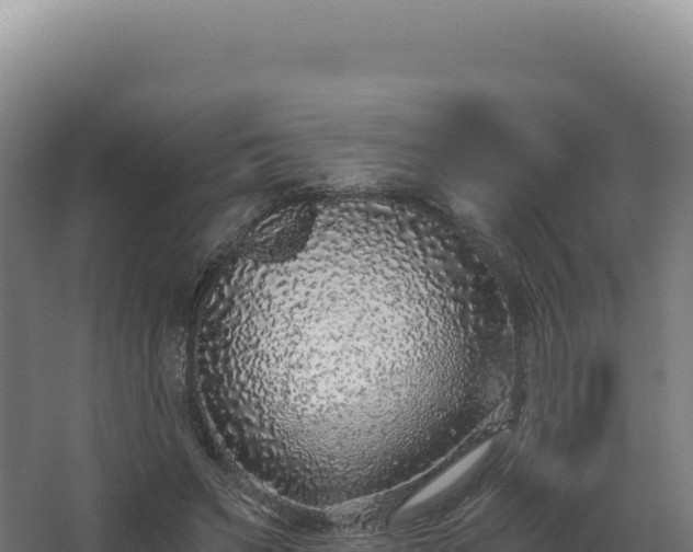 X0000068300495200604281713