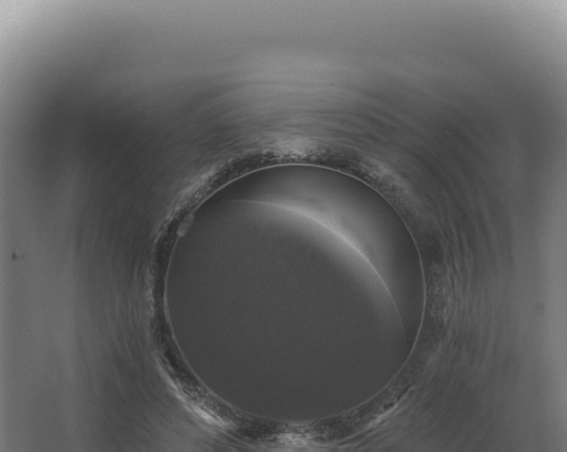 X0000068300496200604281713