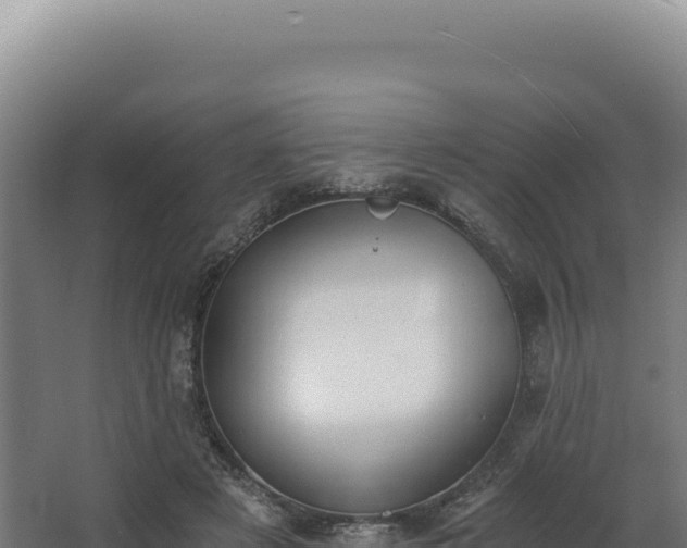 X0000068300497200604281713