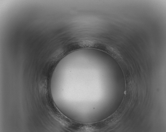 X0000068300498200604281713