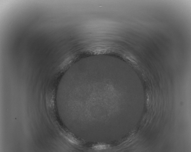 X0000068300499200604281713