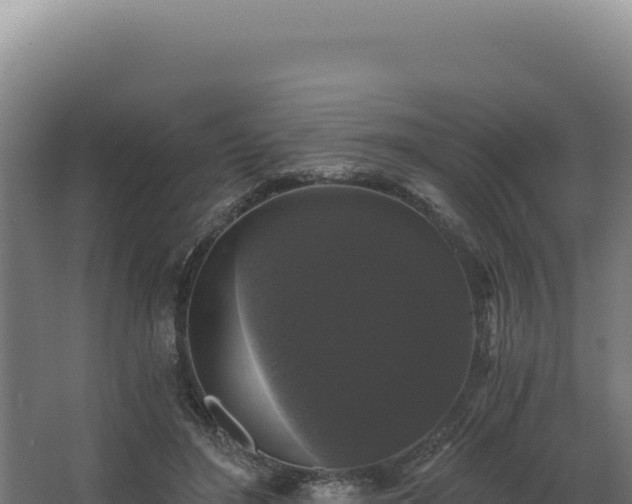 X0000068300500200604281713