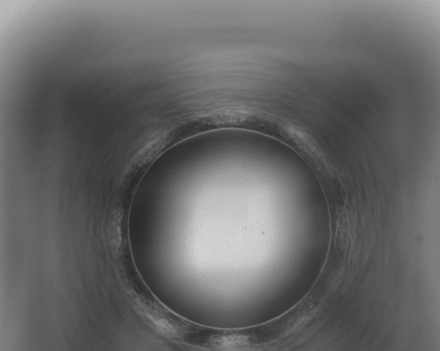 X0000068300501200604281713