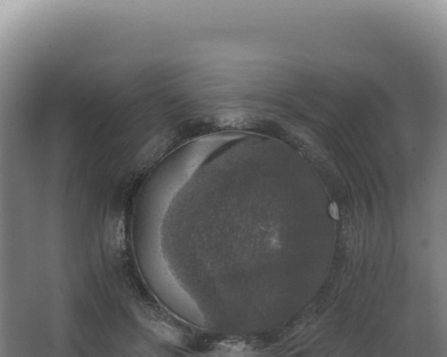 X0000068300502200604281713