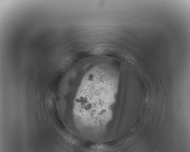 X0000068300503200604281713