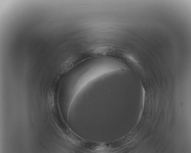 X0000068300504200604281713