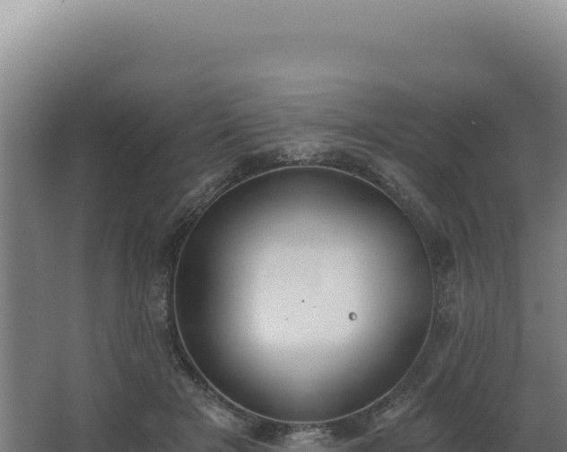 X0000068300505200604281713