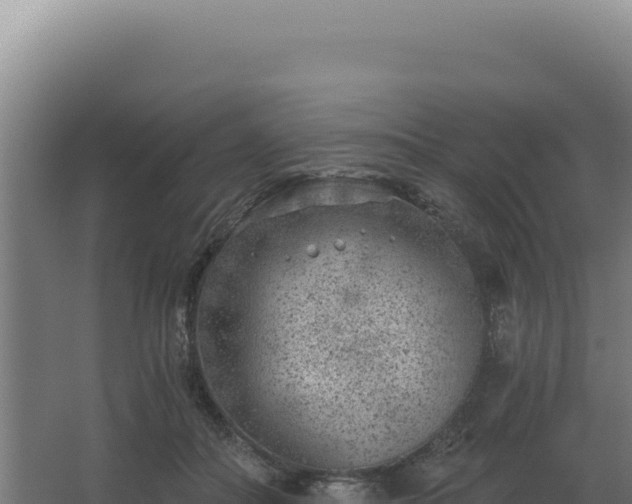 X0000068300506200604281713