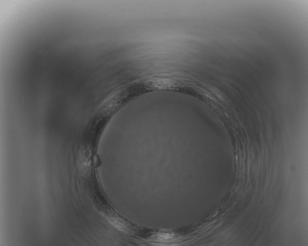 X0000068300507200604281713