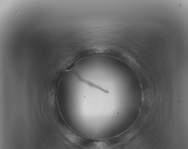 X0000068300509200604281713