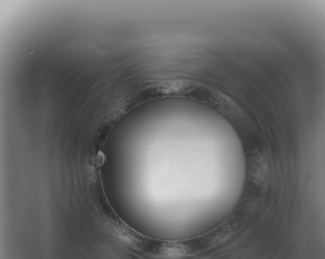 X0000068300510200604281713