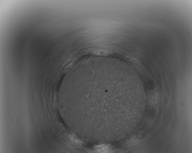 X0000068300511200604281713