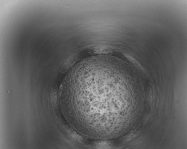 X0000068300513200604281713