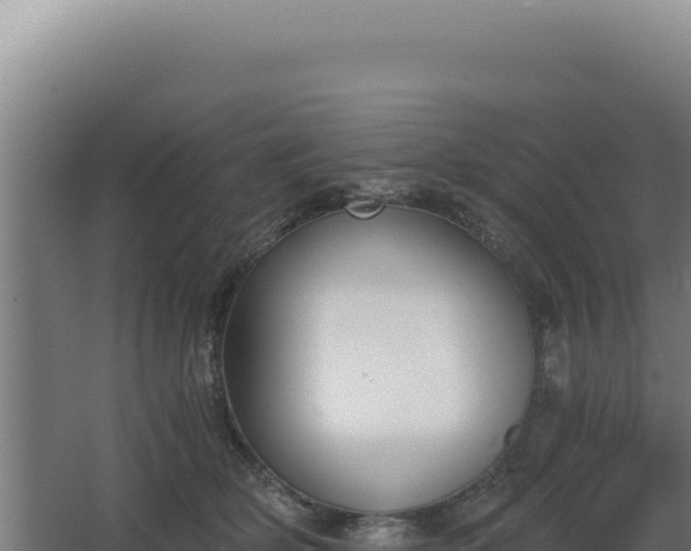 X0000068300514200604281713