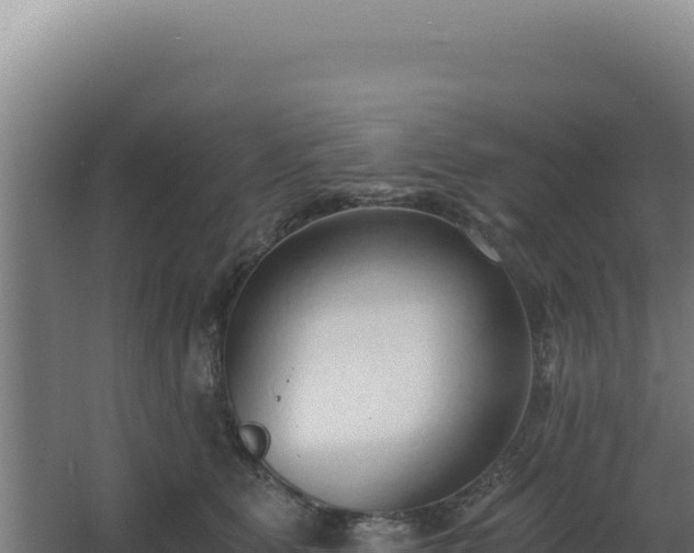 X0000068300515200604281713