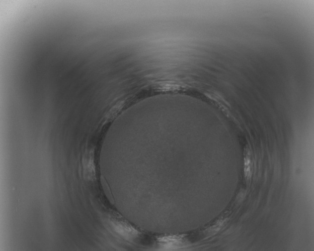 X0000068300516200604281713