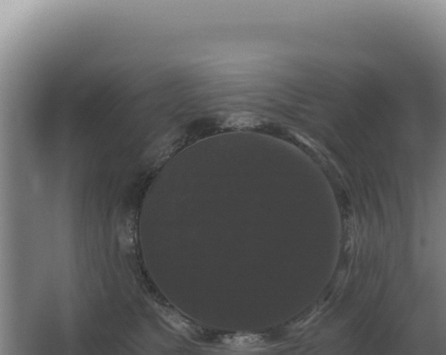 X0000068300517200604281713