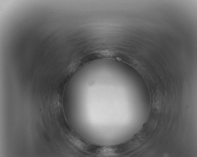 X0000068300518200604281713