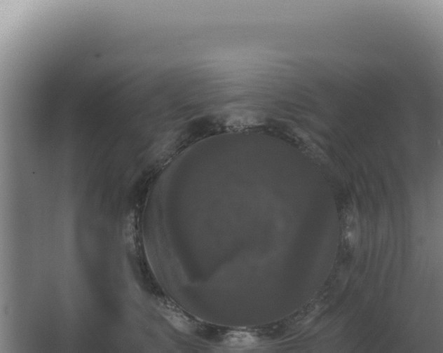 X0000068300519200604281713