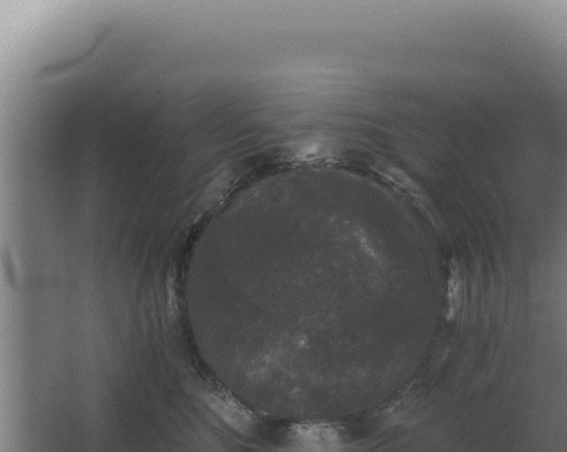 X0000068300520200604281713