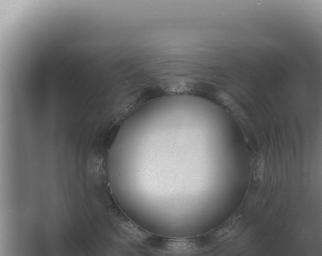 X0000068300521200604281713