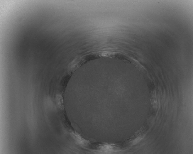 X0000068300523200604281713