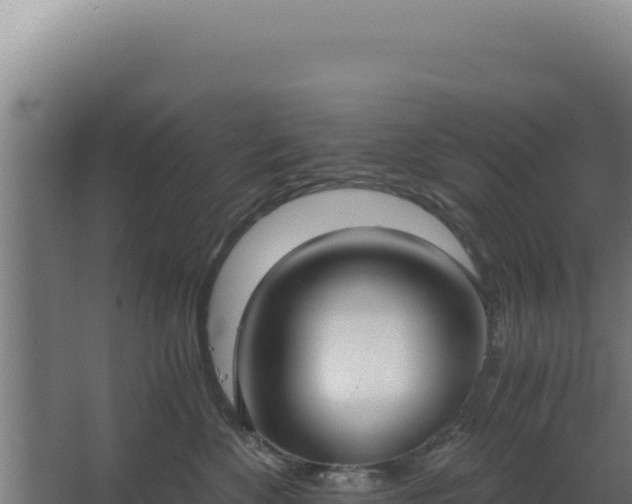 X0000068300524200604281713