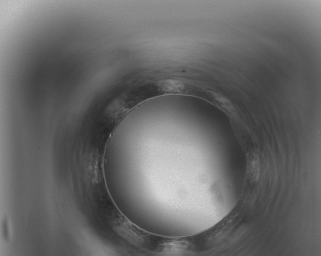 X0000068300525200604281713